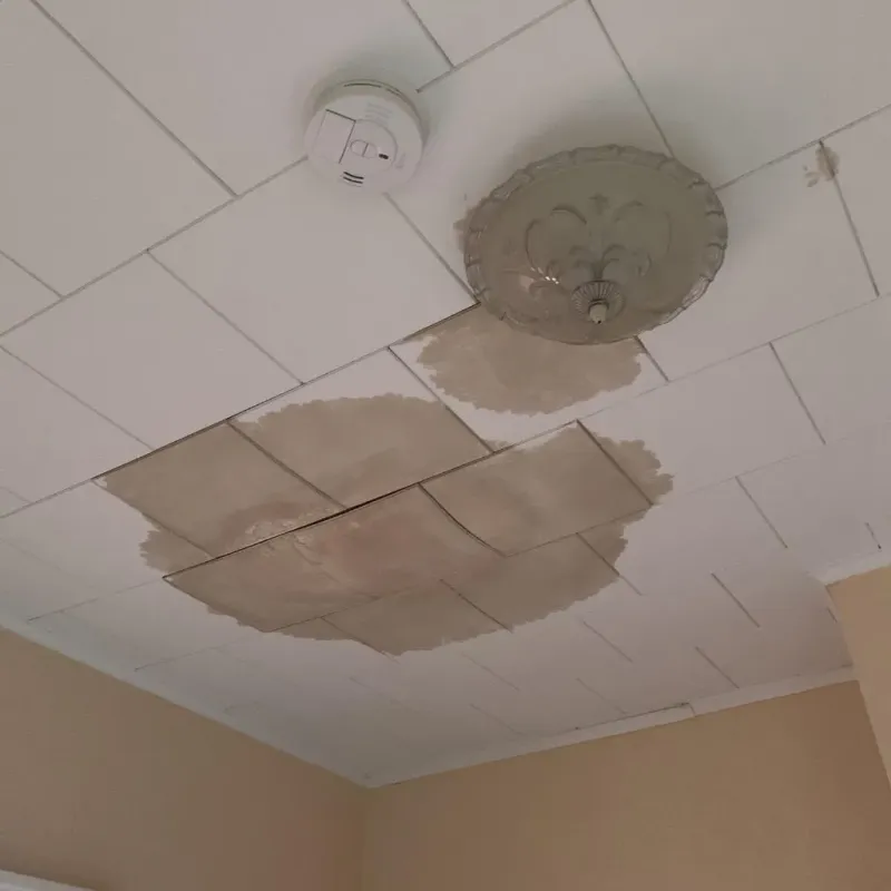 Ceiling Water Damage Repair in Smethport, PA